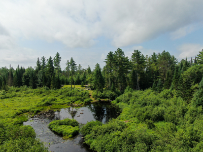 Remote Maine Hunting Camp with Stream Frontage - image 2