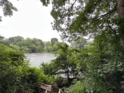 Little Red River Riverfront Lot For Sale near Pangburn, AR - image 7