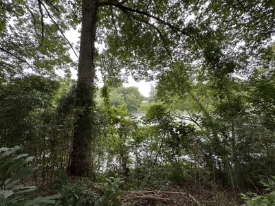 Little Red River Riverfront Lot For Sale near Pangburn, AR - image 8