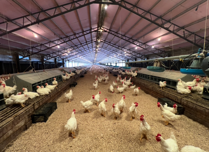 2 House Breeder Farm in Southwest Arkansas - image 16