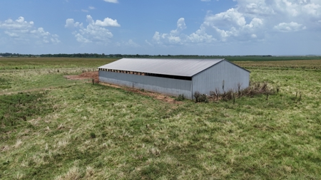 2 House Breeder Farm in Southwest Arkansas - image 6