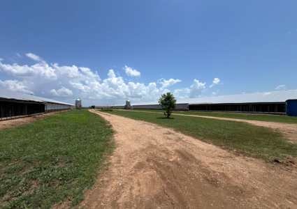 2 House Breeder Farm in Southwest Arkansas - image 12