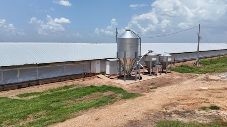 2 House Breeder Farm in Southwest Arkansas - image 4