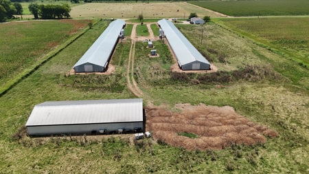 2 House Breeder Farm in Southwest Arkansas - image 7