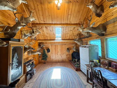 Lakeside Log Cabin Retreat in Lakeville, Maine - image 35
