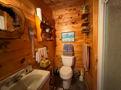 Lakeside Log Cabin Retreat in Lakeville, Maine - image 27