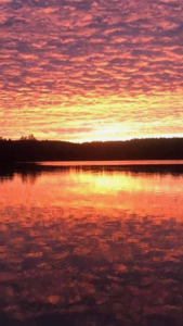 Lakeside Log Cabin Retreat in Lakeville, Maine - image 45