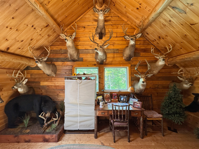 Lakeside Log Cabin Retreat in Lakeville, Maine - image 36