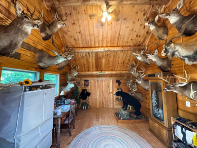 Lakeside Log Cabin Retreat in Lakeville, Maine - image 34