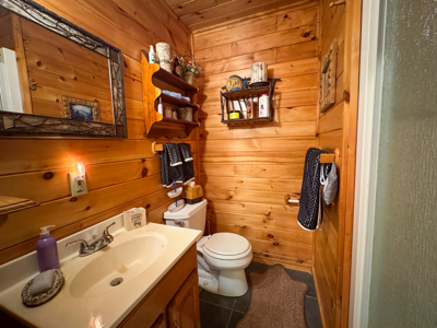 Lakeside Log Cabin Retreat in Lakeville, Maine - image 30