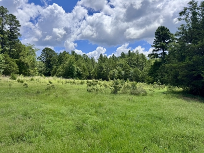Land For Sale In The Ozark Mountains Of Arkansas - image 26