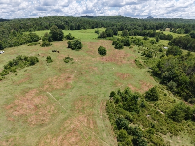 Land For Sale In The Ozark Mountains Of Arkansas - image 13