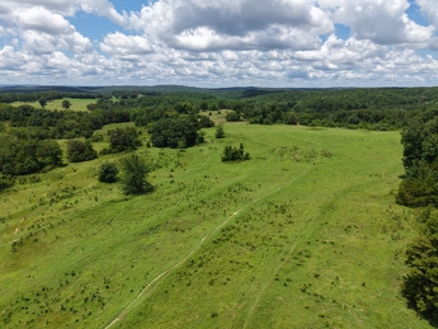 Land For Sale In The Ozark Mountains Of Arkansas - image 3