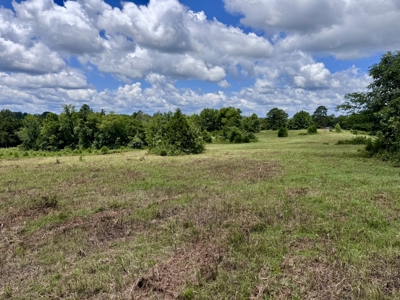 Land For Sale In The Ozark Mountains Of Arkansas - image 14