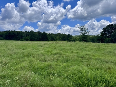 Land For Sale In The Ozark Mountains Of Arkansas - image 23