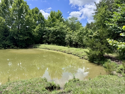 Land For Sale In The Ozark Mountains Of Arkansas - image 18