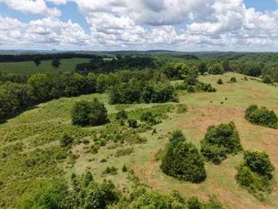 Land For Sale In The Ozark Mountains Of Arkansas - image 9