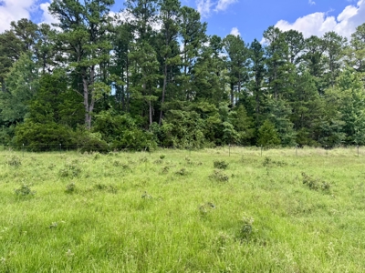 Land For Sale In The Ozark Mountains Of Arkansas - image 27