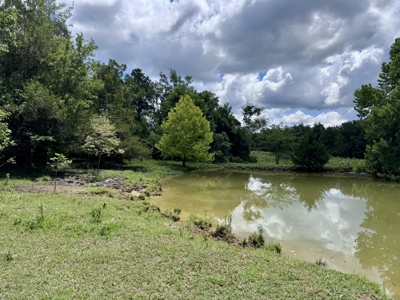 Land For Sale In The Ozark Mountains Of Arkansas - image 17