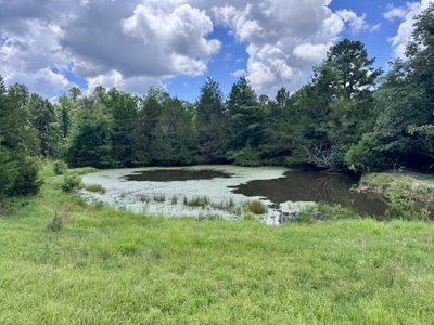 Land For Sale In The Ozark Mountains Of Arkansas - image 28