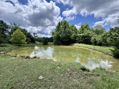 Land For Sale In The Ozark Mountains Of Arkansas - image 19