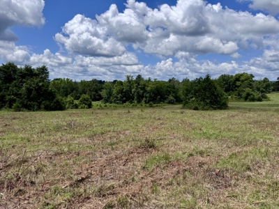 Land For Sale In The Ozark Mountains Of Arkansas - image 16