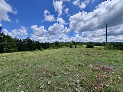 Land For Sale In The Ozark Mountains Of Arkansas - image 20