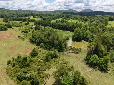 Land For Sale In The Ozark Mountains Of Arkansas - image 1