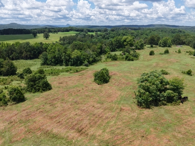Land For Sale In The Ozark Mountains Of Arkansas - image 11