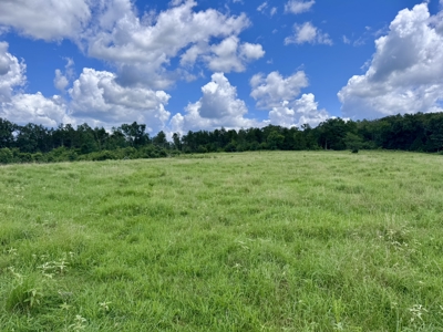 Land For Sale In The Ozark Mountains Of Arkansas - image 24