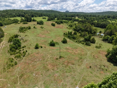 Land For Sale In The Ozark Mountains Of Arkansas - image 12