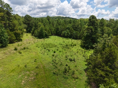 Land For Sale In The Ozark Mountains Of Arkansas - image 2