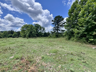 Land For Sale In The Ozark Mountains Of Arkansas - image 21