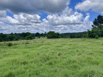 Land For Sale In The Ozark Mountains Of Arkansas - image 25