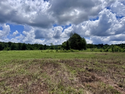 Land For Sale In The Ozark Mountains Of Arkansas - image 15