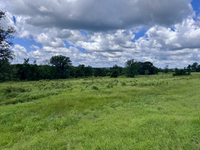 Land For Sale In The Ozark Mountains Of Arkansas - image 29
