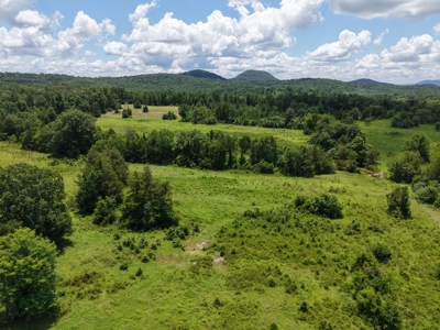 Land For Sale In The Ozark Mountains Of Arkansas - image 8