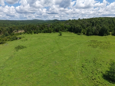Land For Sale In The Ozark Mountains Of Arkansas - image 7