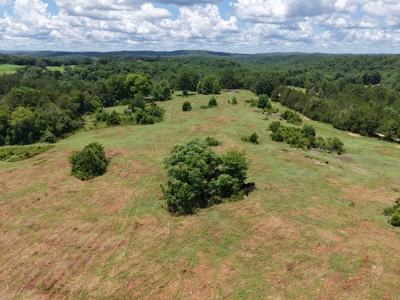 Land For Sale In The Ozark Mountains Of Arkansas - image 10