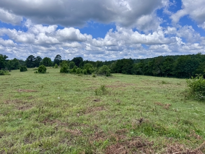 Land For Sale In The Ozark Mountains Of Arkansas - image 22