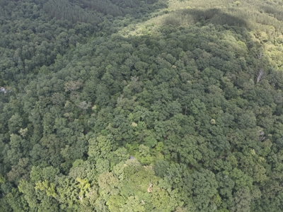 Cottage House on 10 Acres for Sale in Lobelville TN - image 25