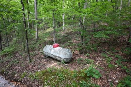 Cottage House on 10 Acres for Sale in Lobelville TN - image 16