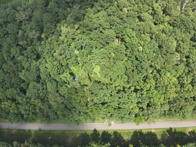 Cottage House on 10 Acres for Sale in Lobelville TN - image 23