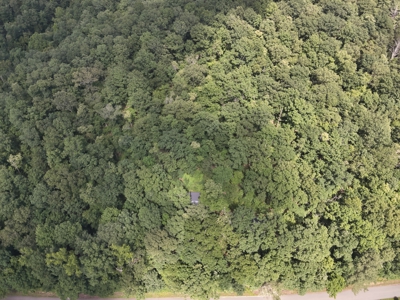 Cottage House on 10 Acres for Sale in Lobelville TN - image 24