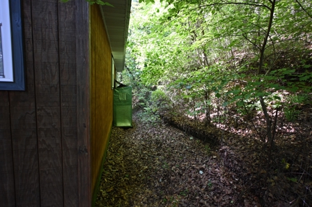 Cottage House on 10 Acres for Sale in Lobelville TN - image 4