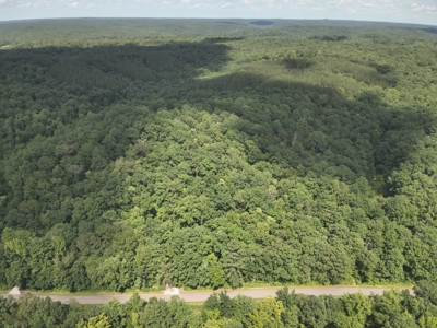 Cottage House on 10 Acres for Sale in Lobelville TN - image 22