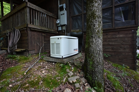 Cottage House on 10 Acres for Sale in Lobelville TN - image 6