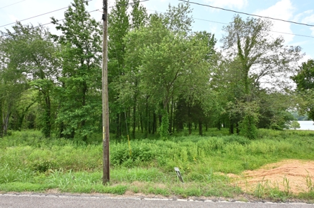 Tennessee River Front Property - image 4