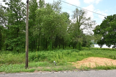 Tennessee River Front Property - image 3