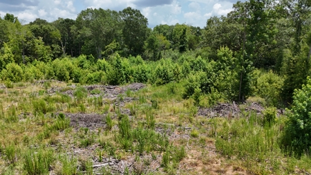 Vacant Land For Sale Ruston, Lousiana - Lot 2 - image 4
